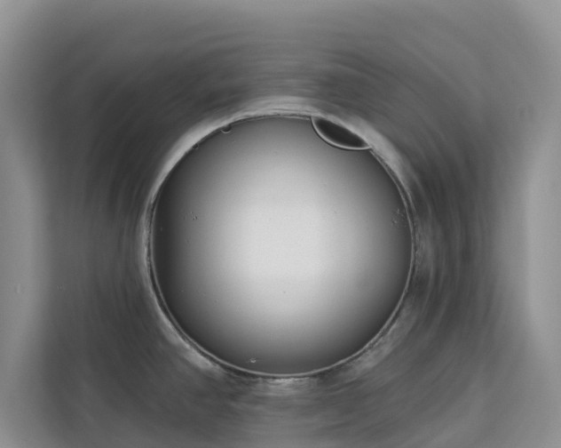 X0000113101390200908281339