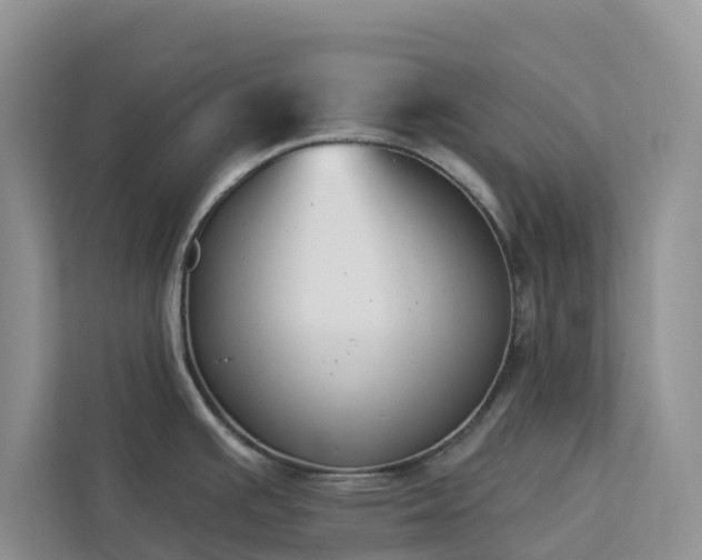 X0000113101391200908281339