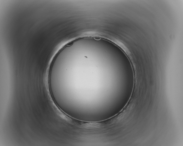 X0000113101392200908281339