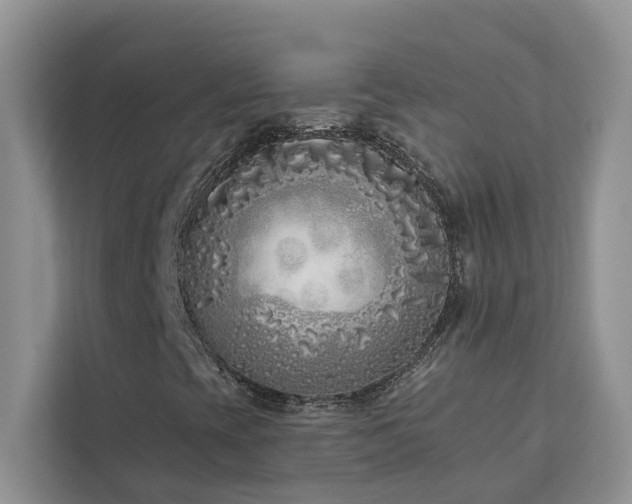 X0000113101393200908281338