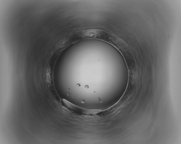 X0000113101394200908281338