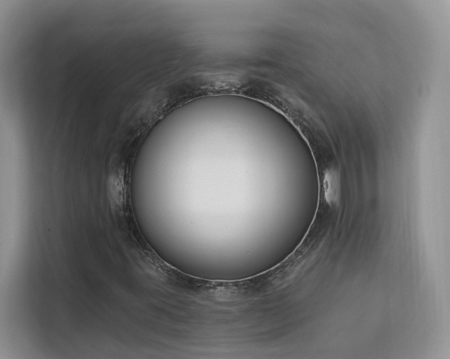 X0000113101395200908281338