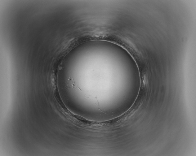 X0000113101396200908281338