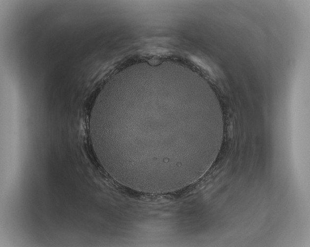 X0000113101397200908281338