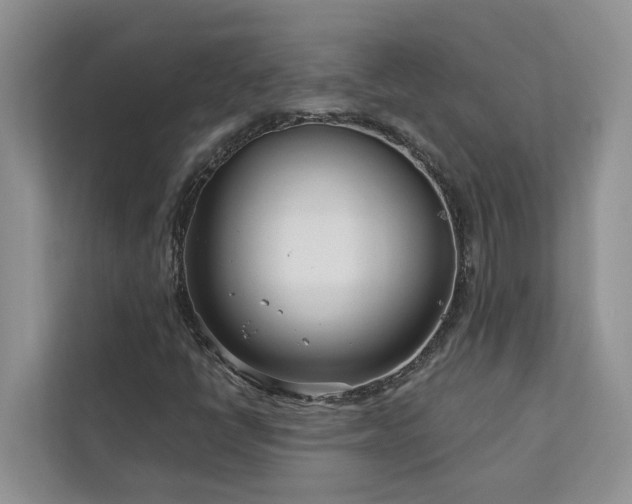 X0000113101398200908281338