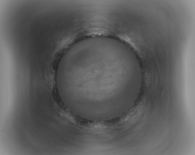 X0000113101399200908281338