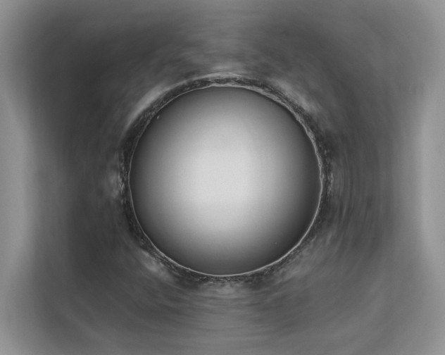 X0000113101400200908281338