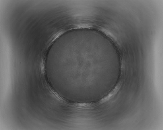 X0000113101401200908281338