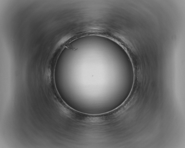 X0000113101402200908281338