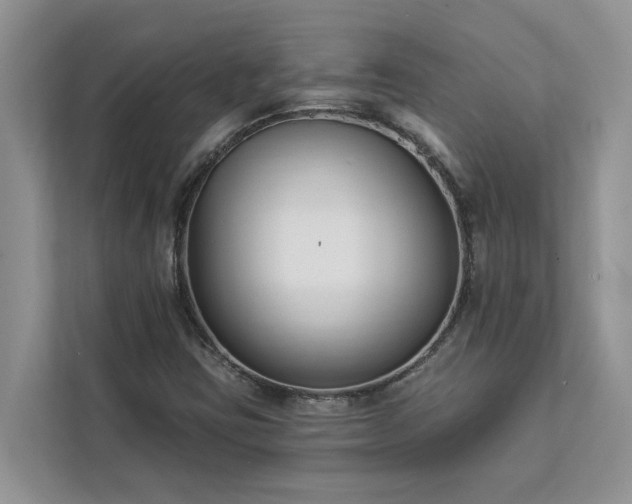 X0000113101403200908281338