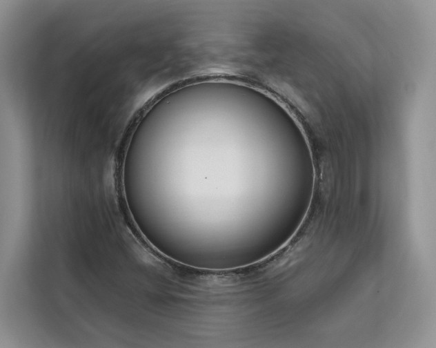 X0000113101404200908281338