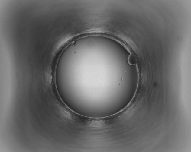 X0000113101406200908281338