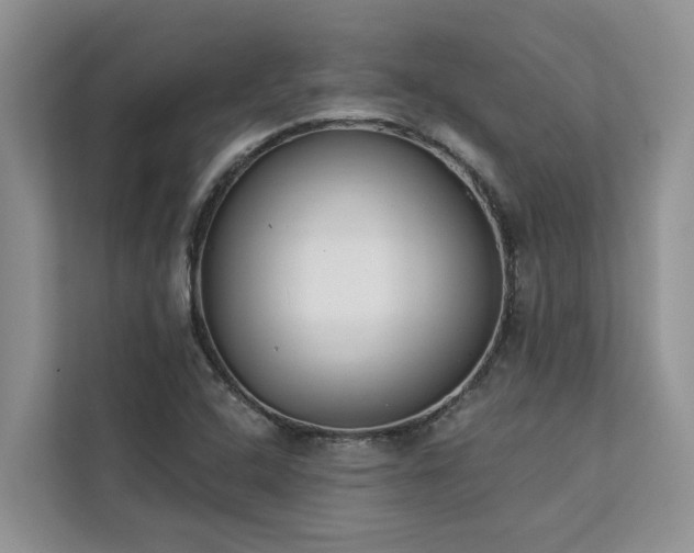 X0000113101408200908281338