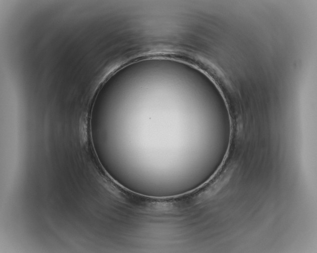 X0000113101409200908281339