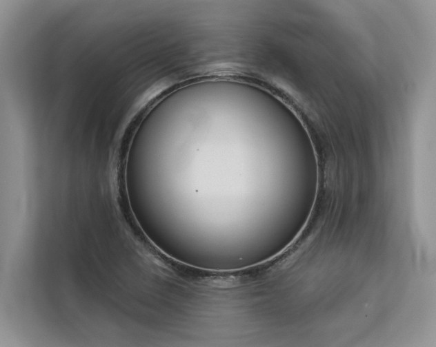 X0000113101410200908281339