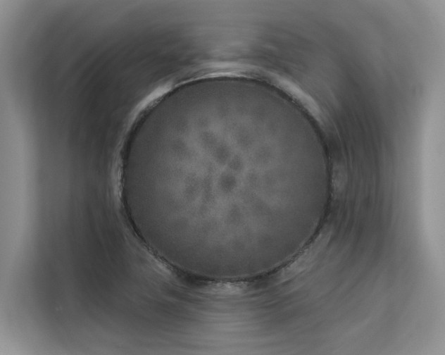 X0000113101411200908281339