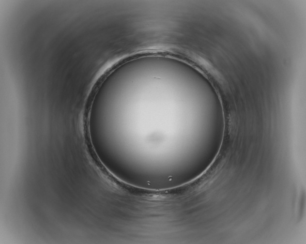 X0000113101412200908281339