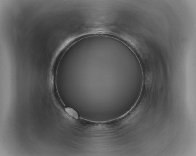 X0000113101414200908281339