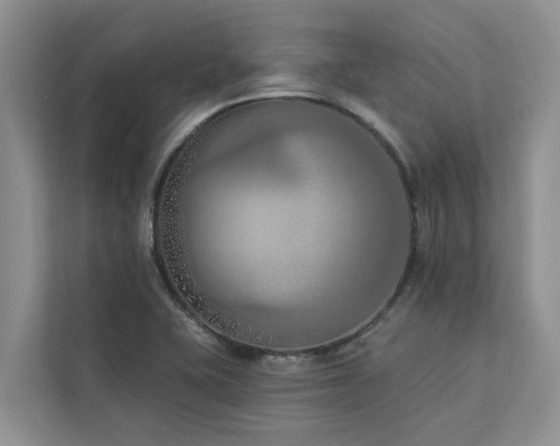 X0000113101415200908281339