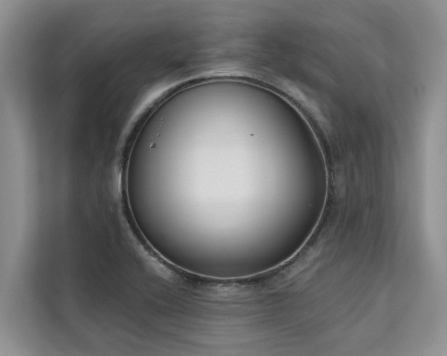X0000113101416200908281339