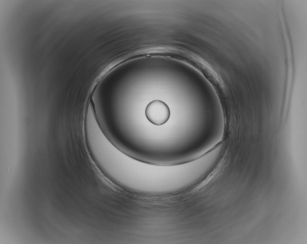 X0000113101417200908281339