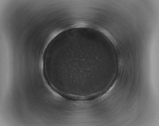 X0000113101418200908281339