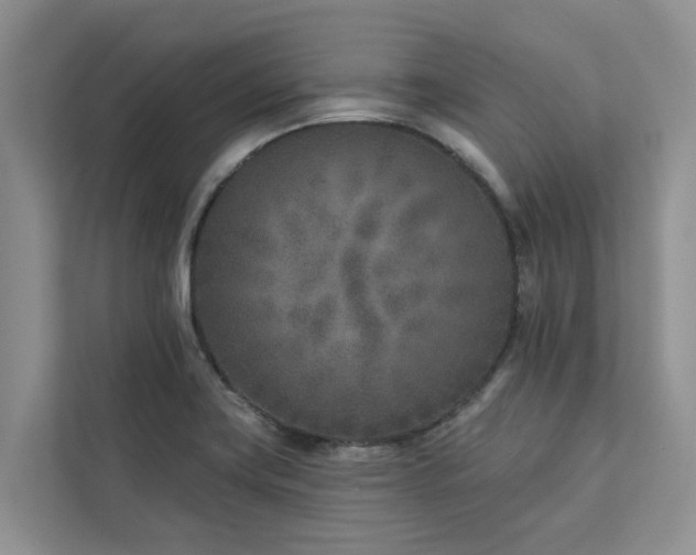 X0000113101419200908281339