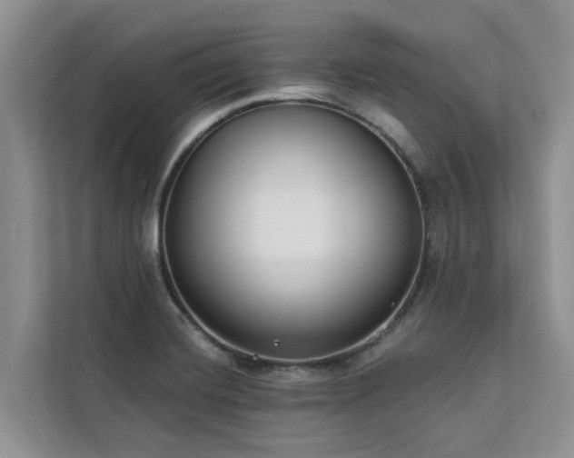 X0000113101420200908281339