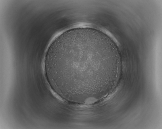 X0000113101421200908281339