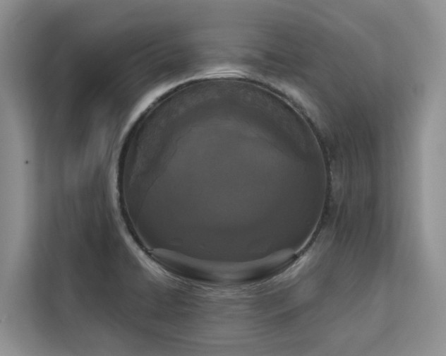 X0000113101422200908281339
