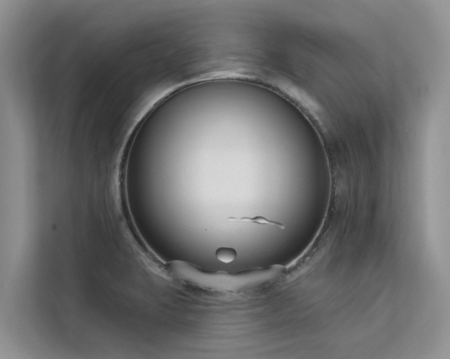 X0000113101423200908281339