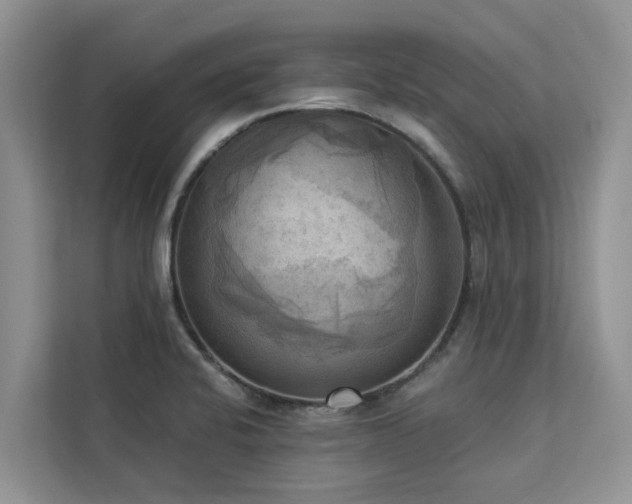 X0000113101424200908281339