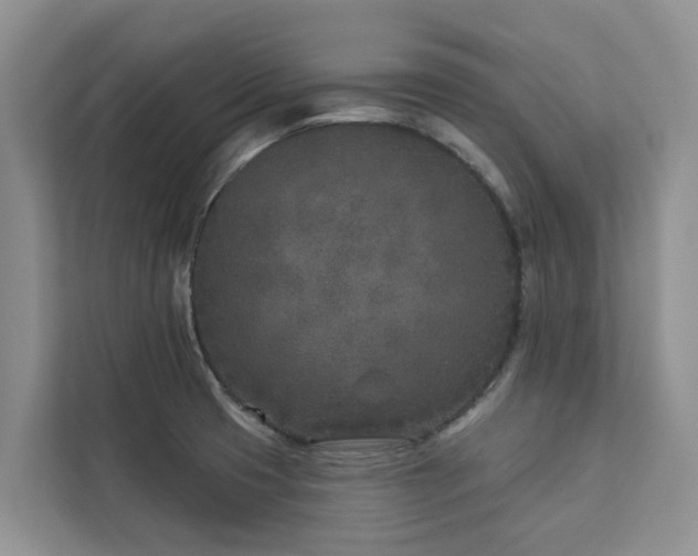 X0000113101425200908281339