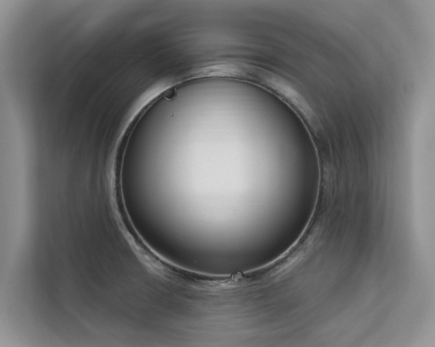 X0000113101426200908281339