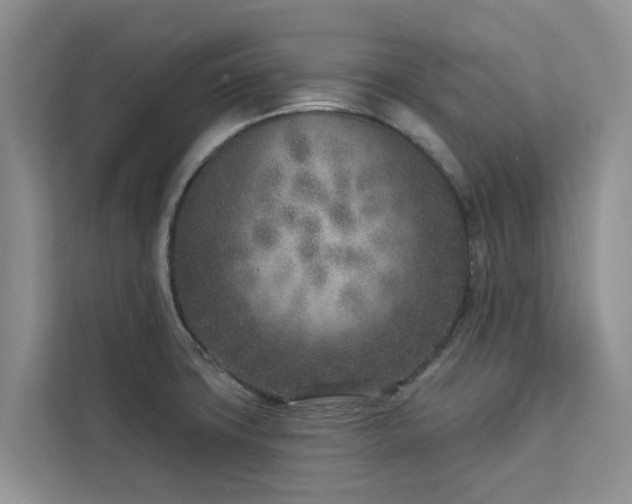 X0000113101427200908281339
