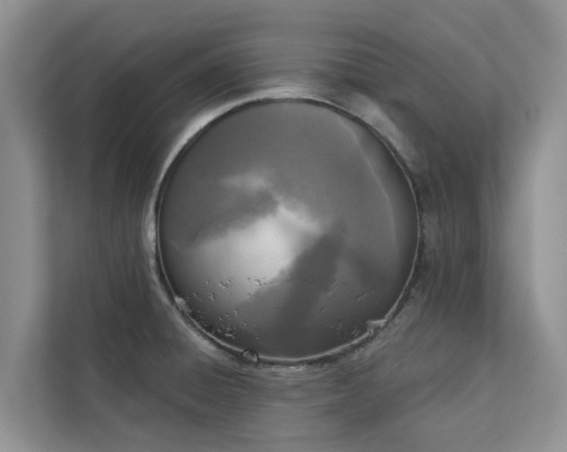X0000113101428200908281339