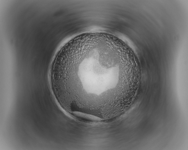 X0000113101429200908281339