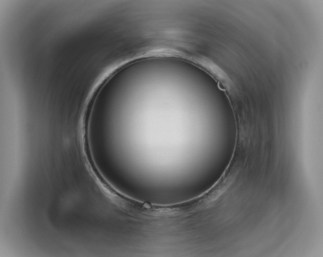 X0000113101430200908281339