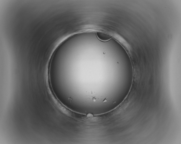 X0000113101431200908281339