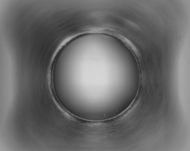 X0000113101432200908281339