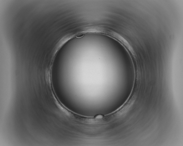 X0000113101433200908281339