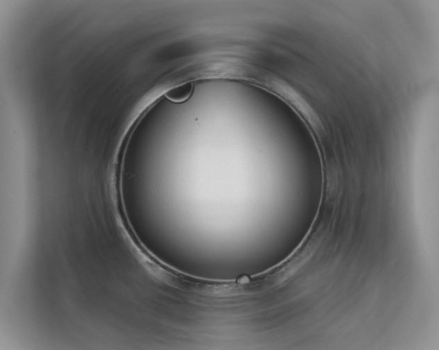 X0000113101434200908281339