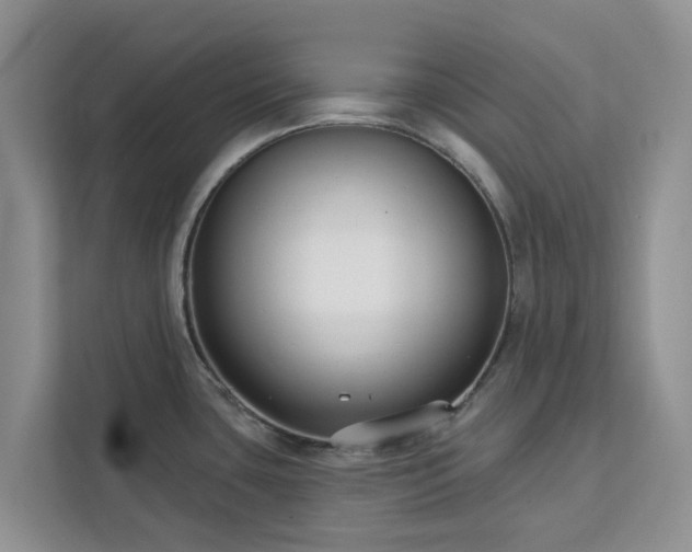 X0000113101435200908281339