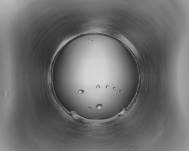 X0000113101436200908281339
