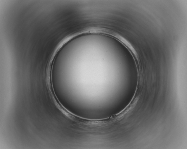X0000113101437200908281339