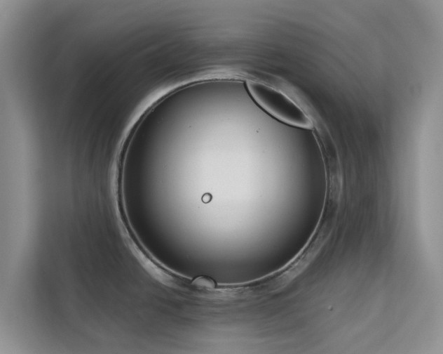 X0000113101438200908281339