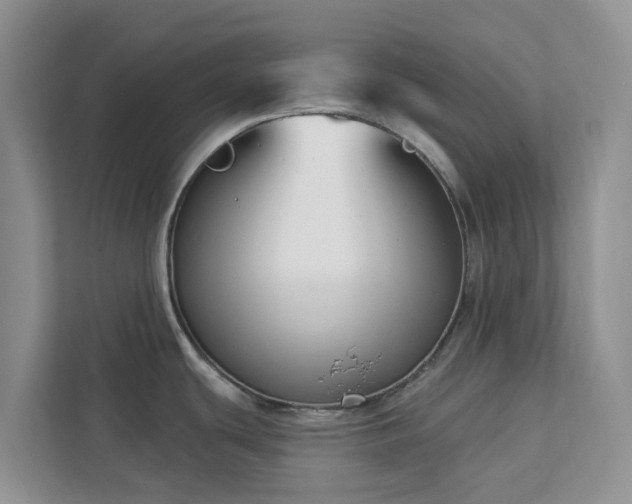 X0000113101439200908281339