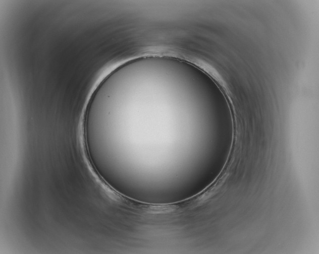 X0000113101440200908281339