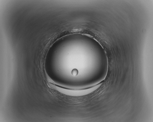 X0000113101441200908281338