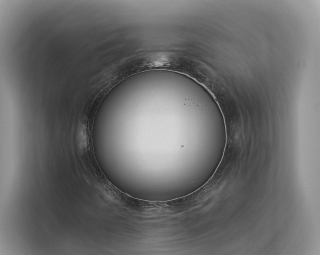 X0000113101442200908281338